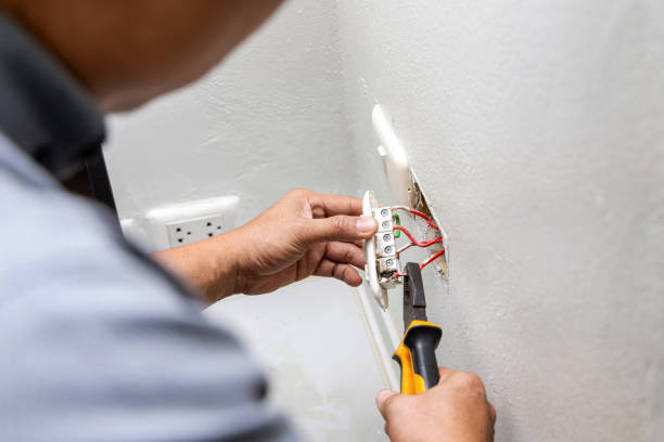 Best Electric Panel Repair  in Woodhaven, MI